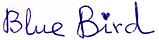 Blue Bird 