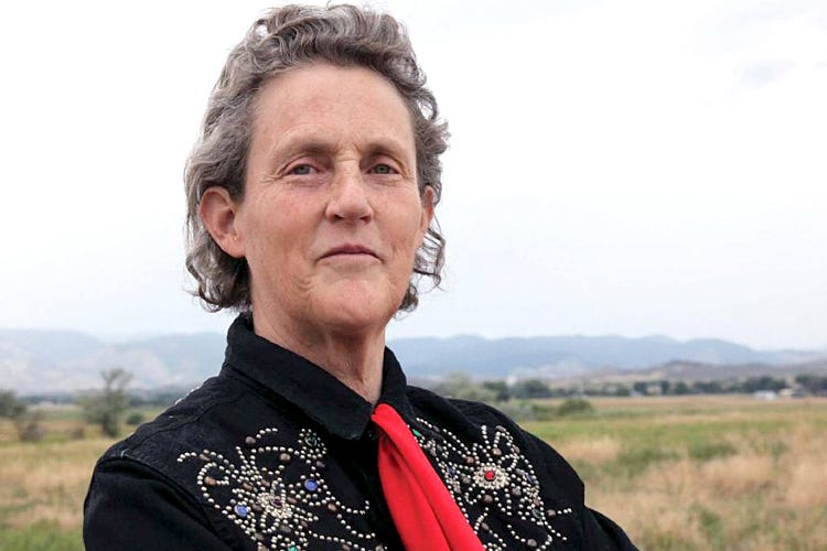 Temple Grandin discusses the importance of neurodiversity in her new book |  Utah Public Radio
