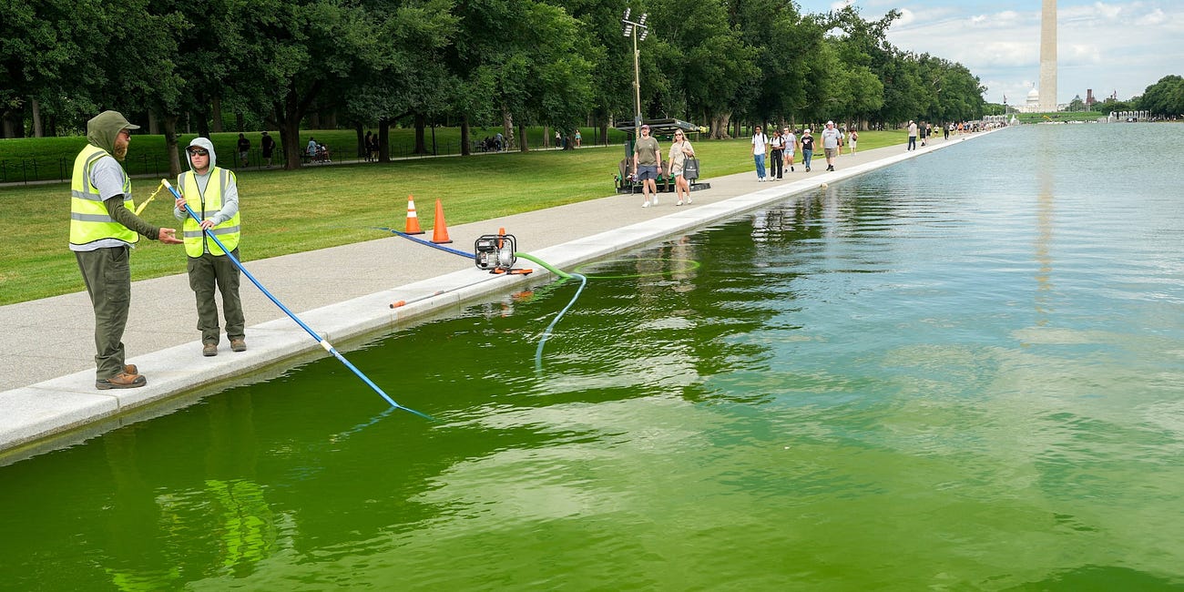 NIH Issues Emergency R01 Supplement: "Algal Removal From Decorative Surfaces"