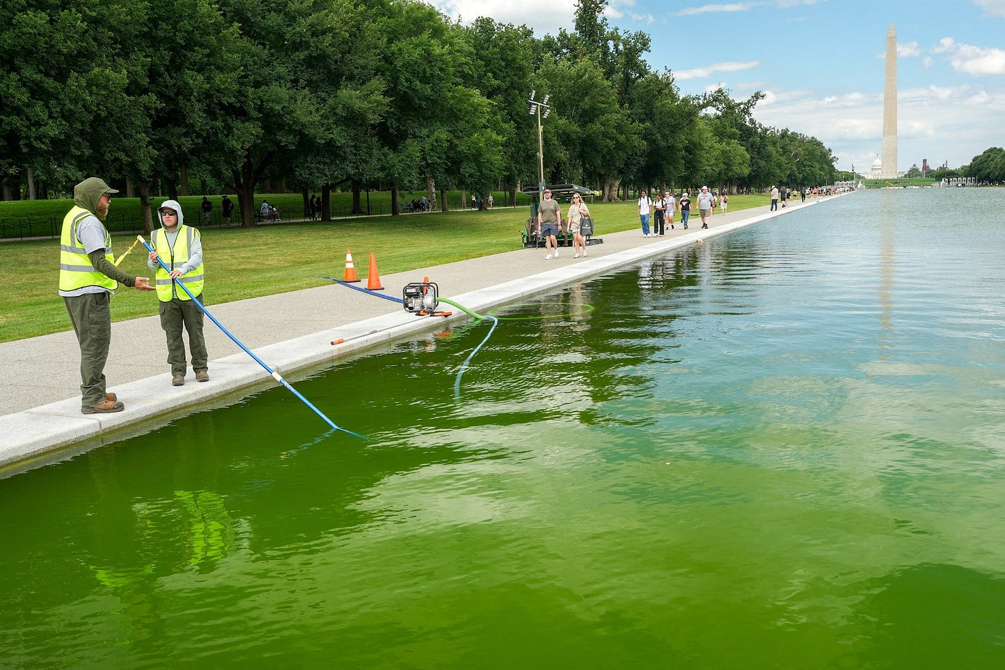 Blue paint meets green algae at Lincoln Memorial Reflecting Pool - June 16, 2026 | Reuters Blue paint meets green algae at Lincoln Memorial Reflecting Pool - June 16, 2026 | Reuters