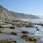 Black's Beach trail closed after bluff collapse