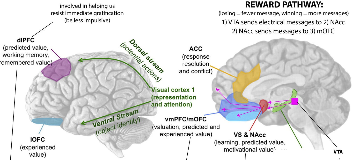Gambling and the Adolescent Brain – Dr Jack Lewis