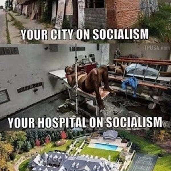 The Slow Suicide Of Western Civilization