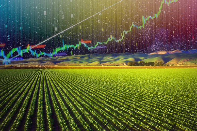 Reality of Yield Farming: Profits, Impermanent Loss and Loss-vs-Rebalancing
