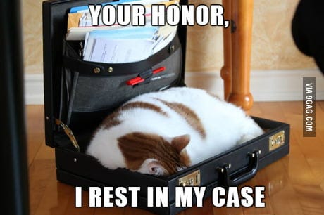Lawyer Cat - 9GAG