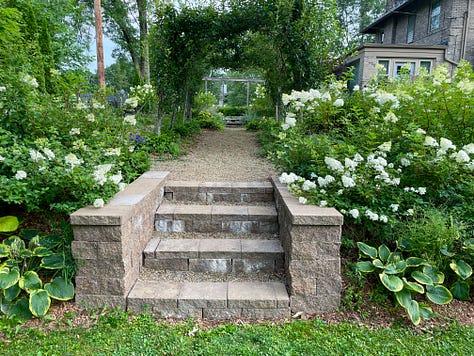 Looking down from the Hot Border through the Fruit tunnel; up from the lawn to the steps and tunnel; and the Balloon flower (Platycodon) that have finally survived the rabbits in this area.