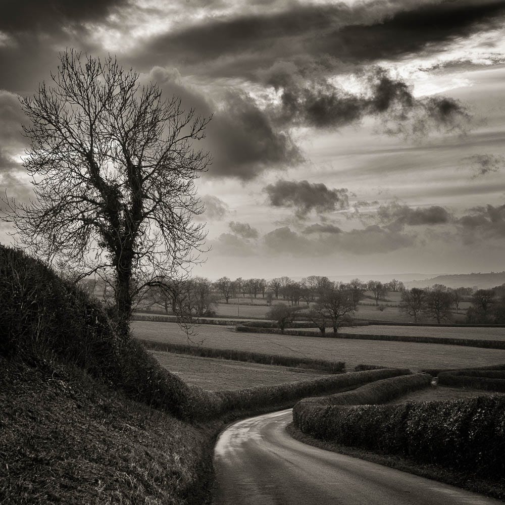 Somerset in winter – a nod to the work of Don McCullin | alan frost  photography