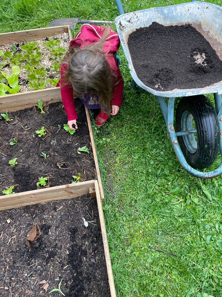 Four photos of a walled French garden in spring: a canopy tent on the grass under blossoming trees, a wooden playhouse and swing set beneath a cherry tree in full pink bloom, a young girl planting seedlings in a raised bed beside a wheelbarrow, and a trampoline framed by climbing roses and a ribbon archway.