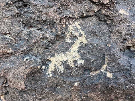 Desert landscapes, petroglyphs, cactus flower, campsite, and dogs