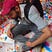Mazin Saleem's avatar