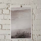 Everything was beautiful and nothing hurt