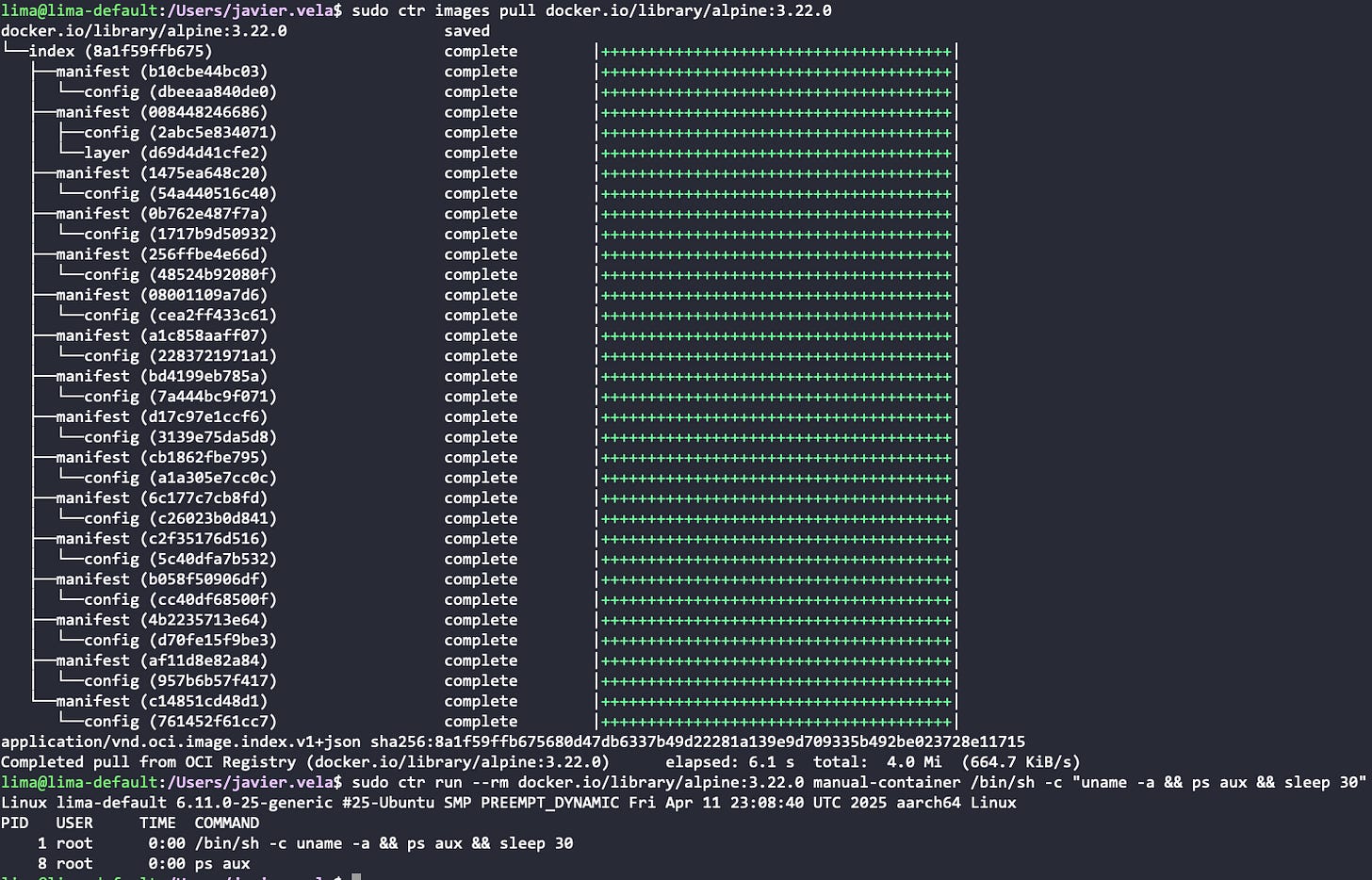 Resultado ejecución comandos Resultado ejecución comandos