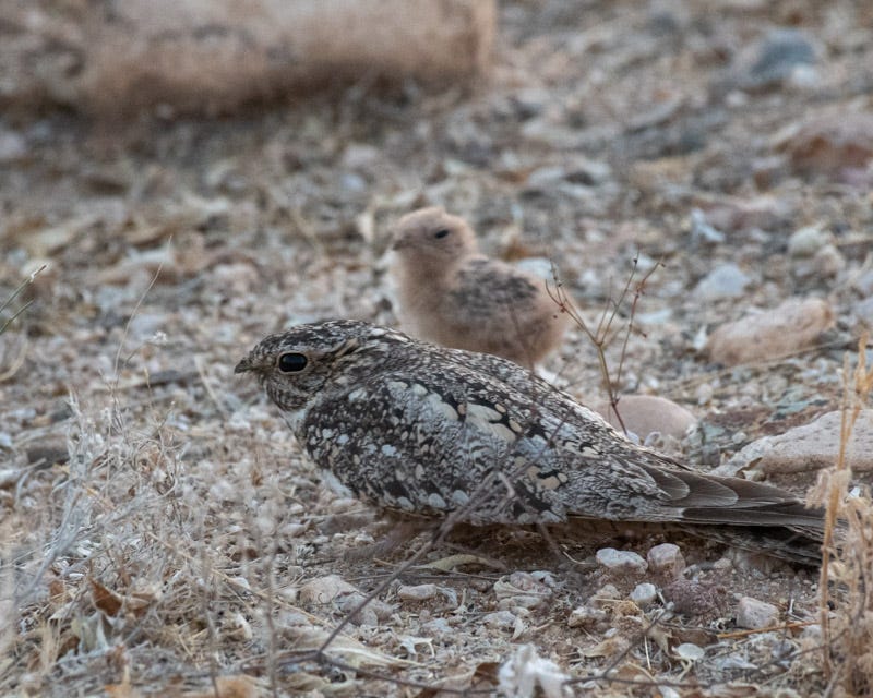 20200621_LN-77.jpg 20200621_LN-77.jpg