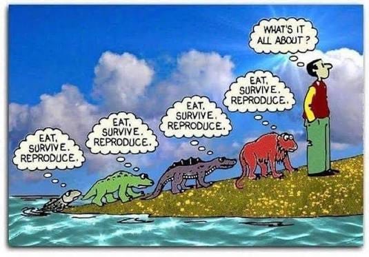eat #survive #reproduce #meaningoflife