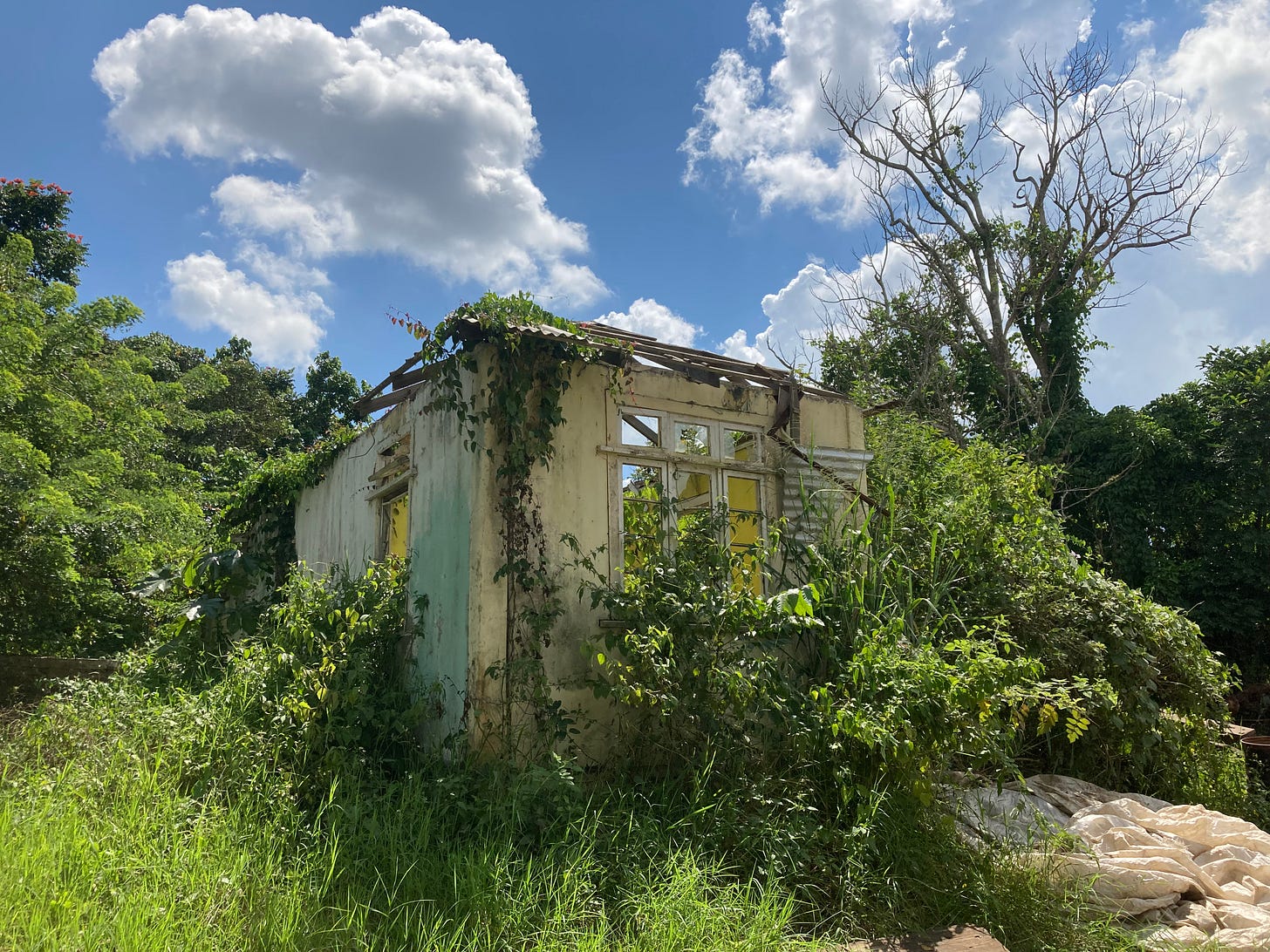 A simple dilapidated structure is in the middle of the photograph. It is covered in vines and surrounded by lush green forest. All this sits under a blue sky with fluffy white clouds. A simple dilapidated structure is in the middle of the photograph. It is covered in vines and surrounded by lush green forest. All this sits under a blue sky with fluffy white clouds.