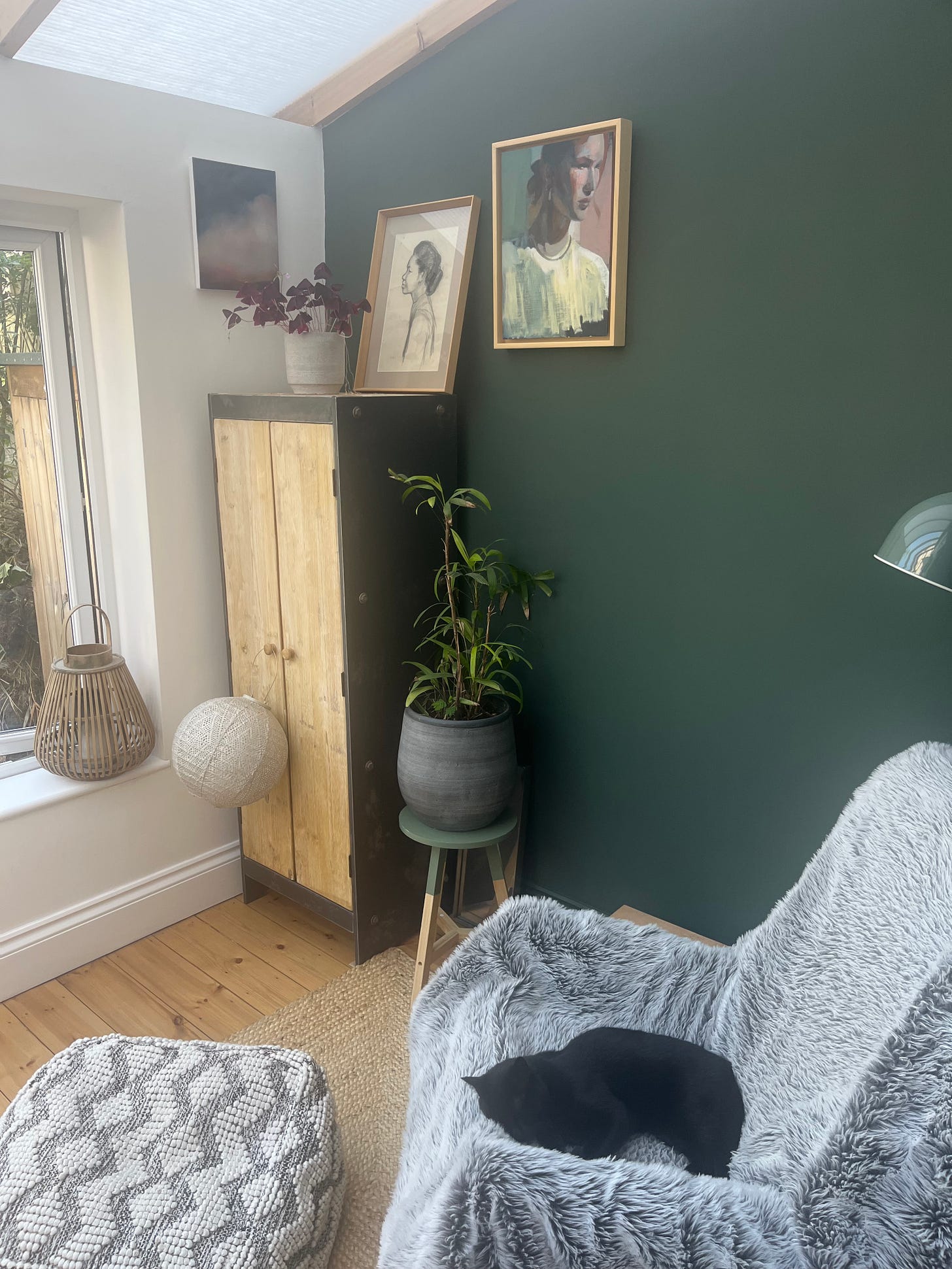 happy  cat curled up on chair  in sunroom