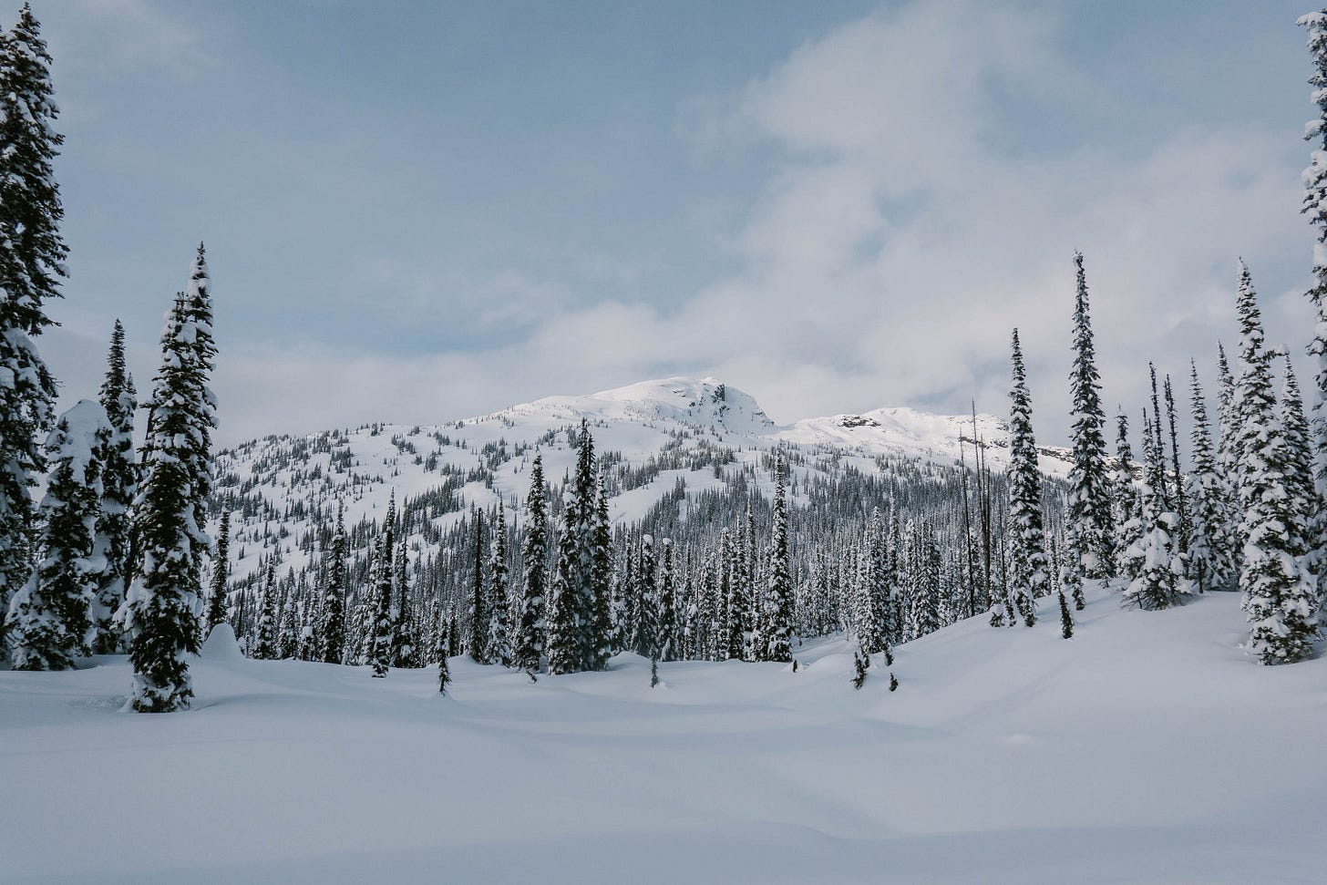 __wf_reserved_inherit