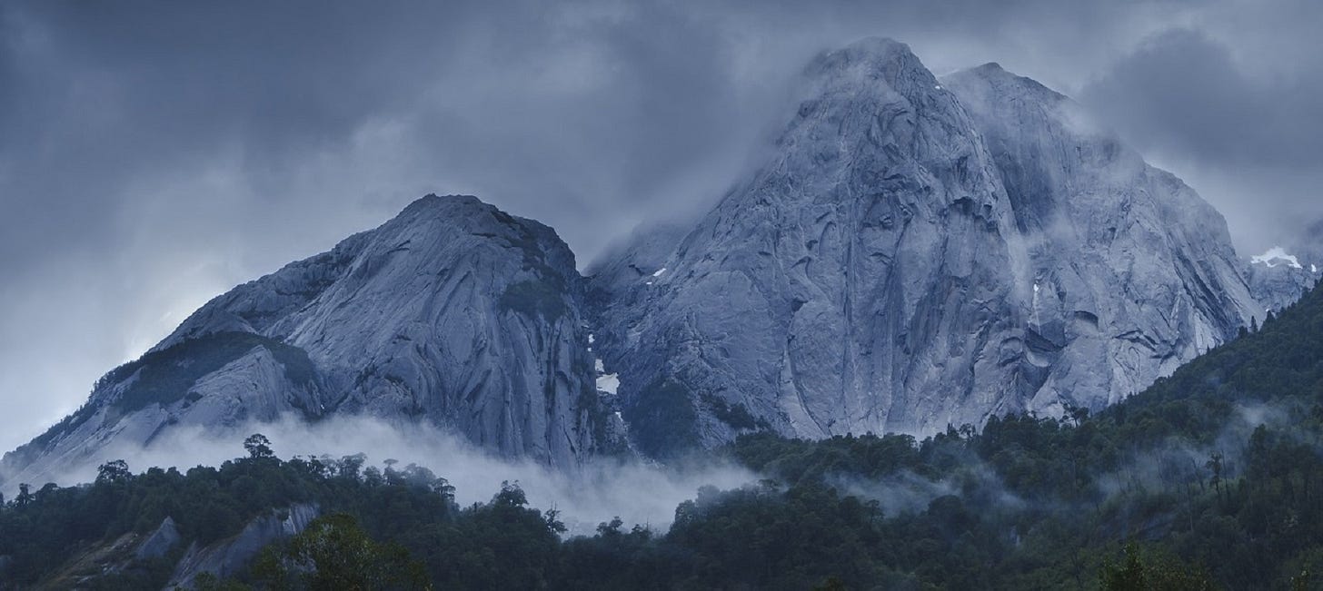 Buscan recaudar fondos para comprar gigantesca Hacienda en Cochamó y  protegerla por su valor ecológico - Meganoticias
