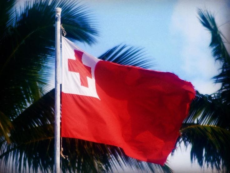 Flag of Tonga 🇹🇴 Photo by Daniel Jason Wagner Copyright (c) 2014 DJ-Kiwi  Limited #Tonga #Flag #Kingdom #Tongatapu #Island #SouthPacific #Palms  #DJKiwi #DJKiwiTonga