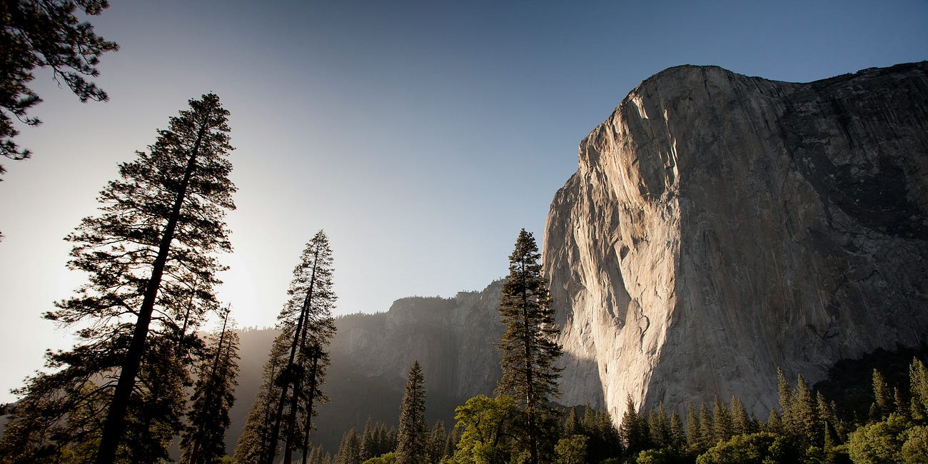 How Precious Is Your Loving Devotion, O God