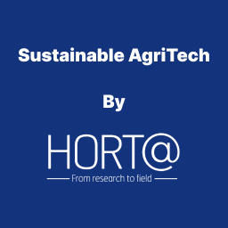 Artwork for \ud83c\uddee\ud83c\uddf9 Horta