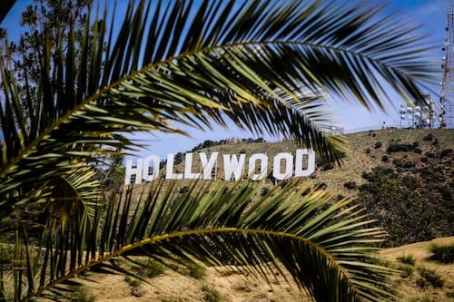 Free Hollywood Sign Stock Photo Free Hollywood Sign Stock Photo