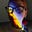 Beth Herzhaft's avatar