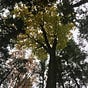 John B's avatar