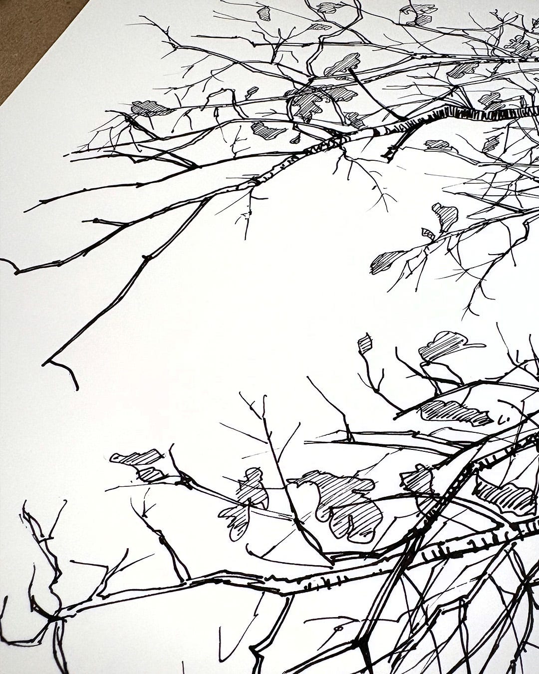 Learn to draw tree branches that look 3-dimensional