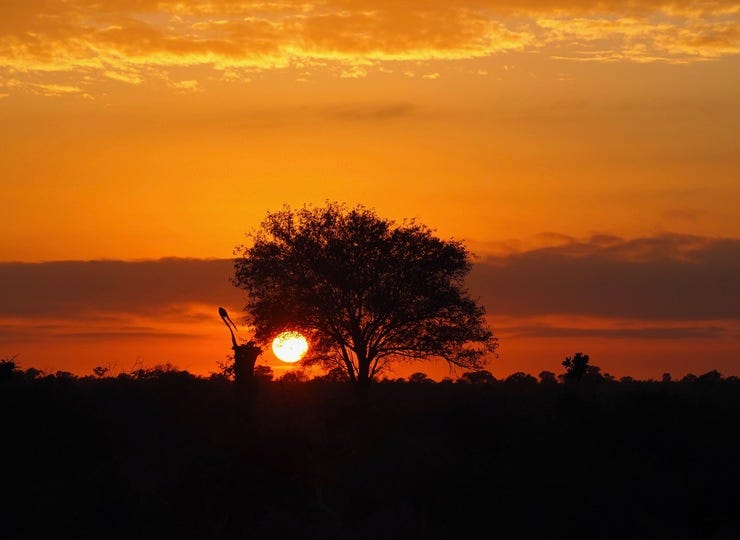 Sunset at Kruger