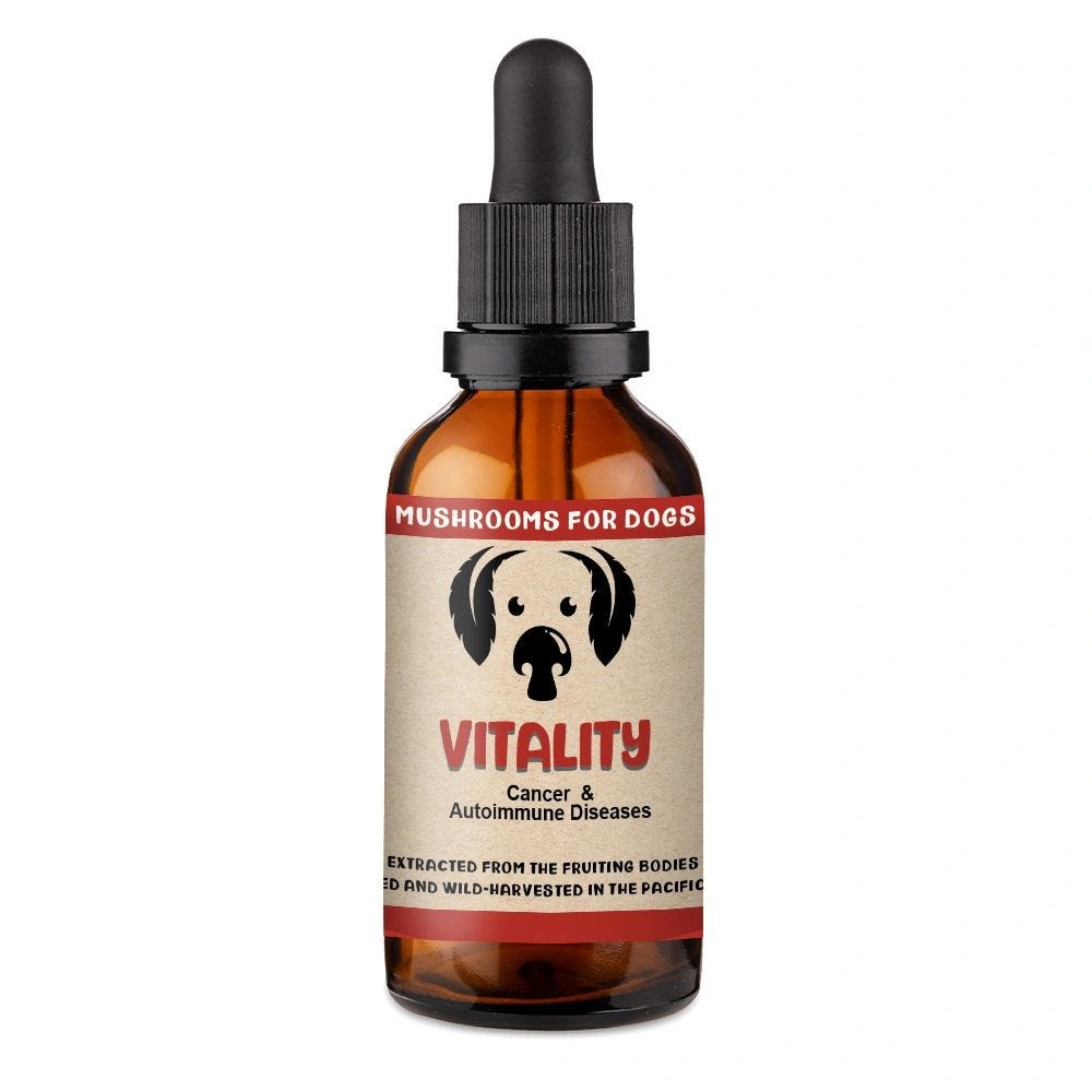 Vitality - Mycodog