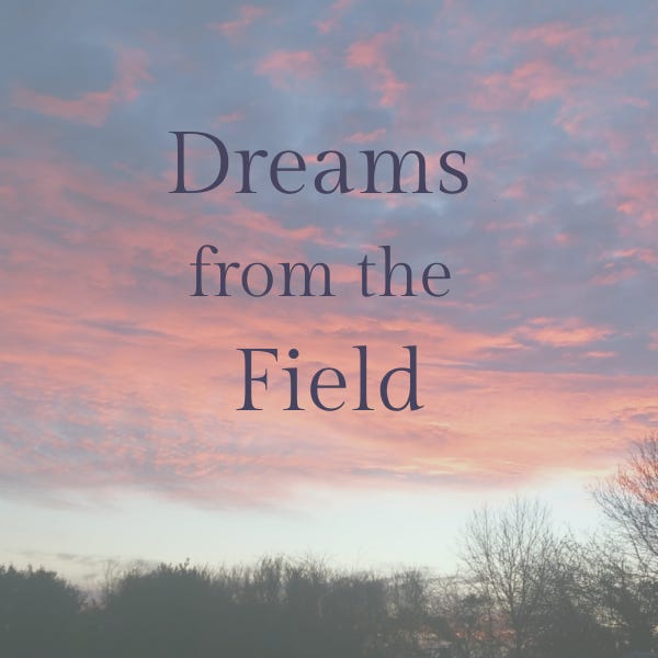 Dreams from the Field