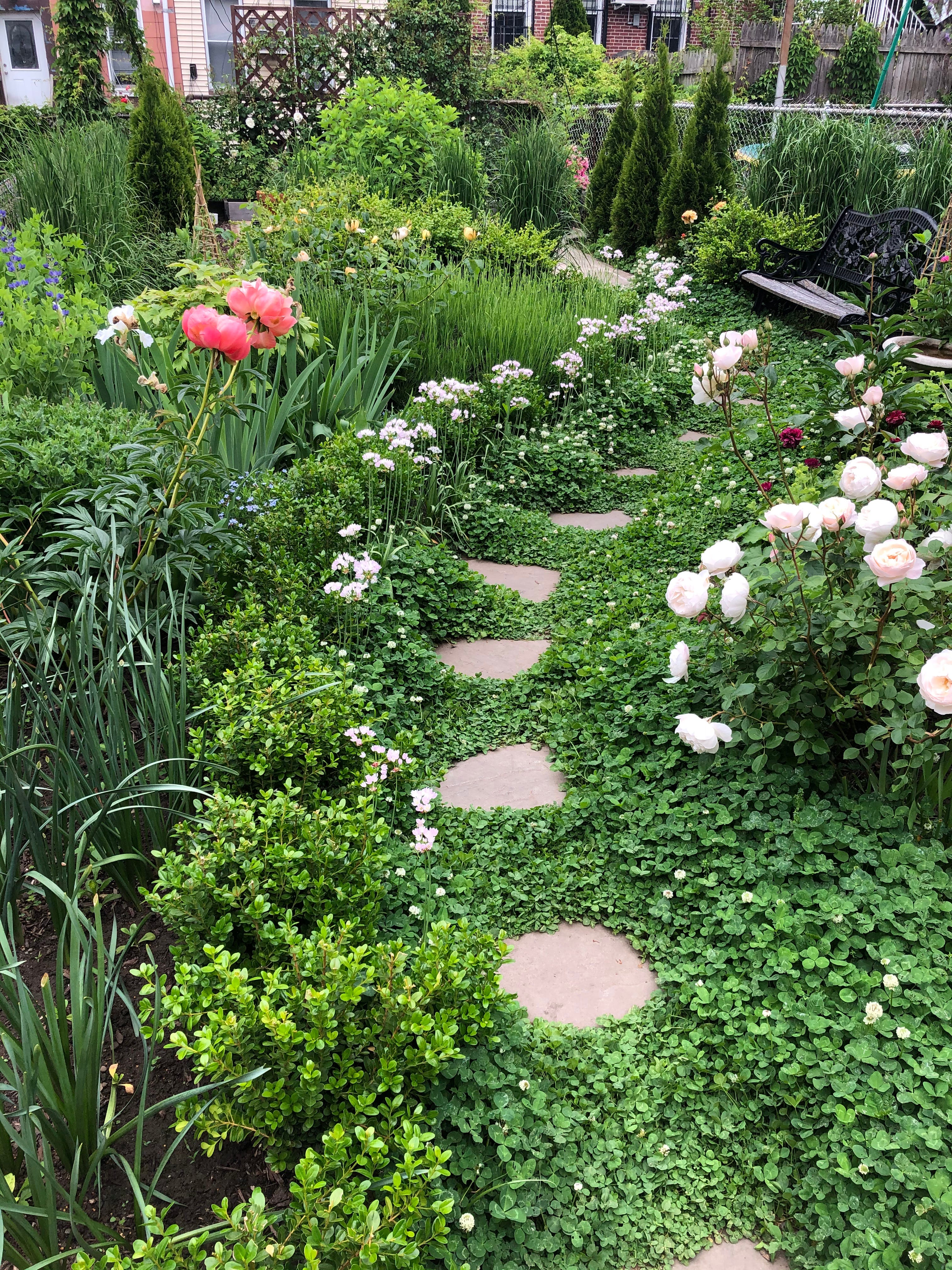 Finding my Cottage Garden Style - by Steve, image size:3024x4032