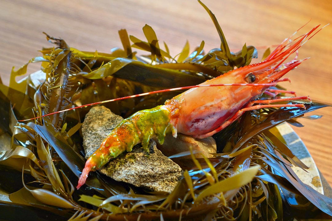 Spot prawn cooked with matcha