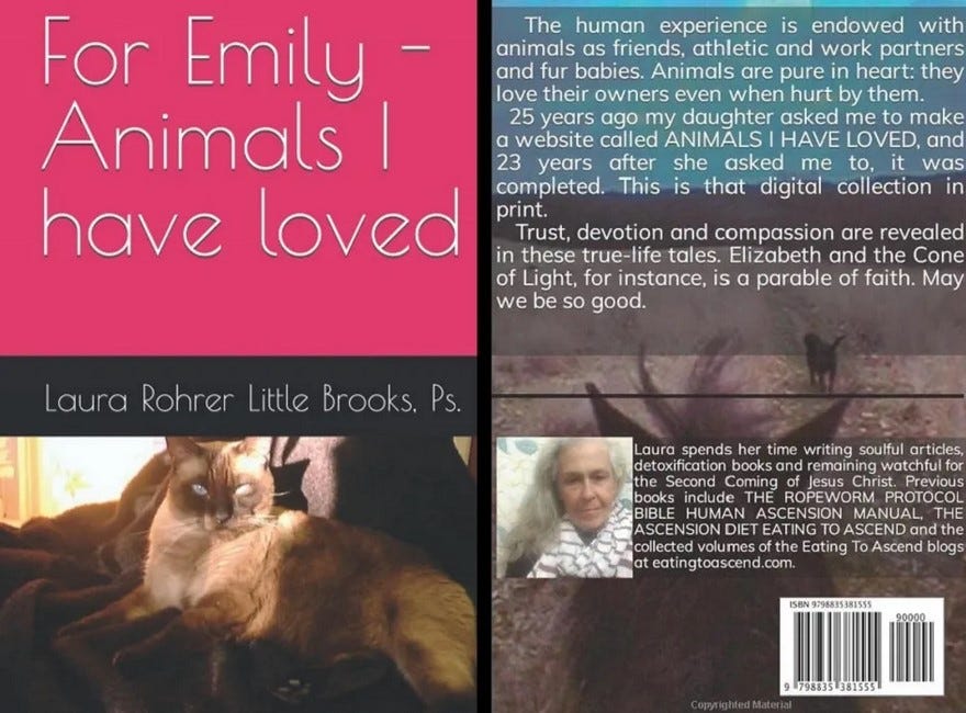 Click each image for more information