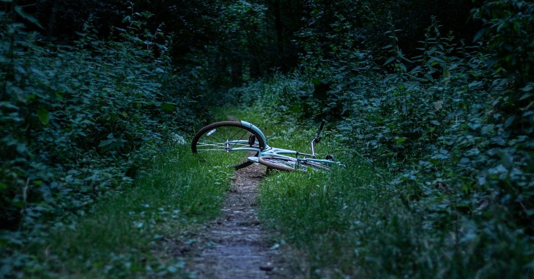 white bicycle on grass field