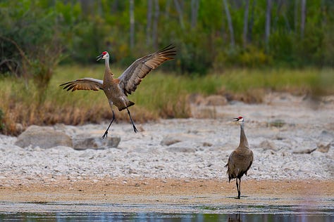 Fotos de Luciano Stabel, fotografia de Natureza no Canadá
