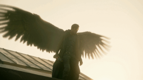 Angels' Blood (Guild Hunter, #1) by Nalini Singh | Goodreads