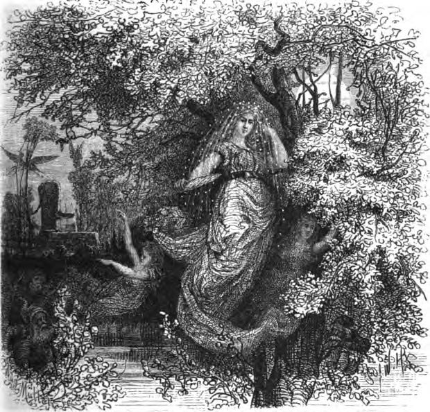 Roggenmutter Elder Tree Spirits of European Myth: Holundermutter (Hylde-Moer)