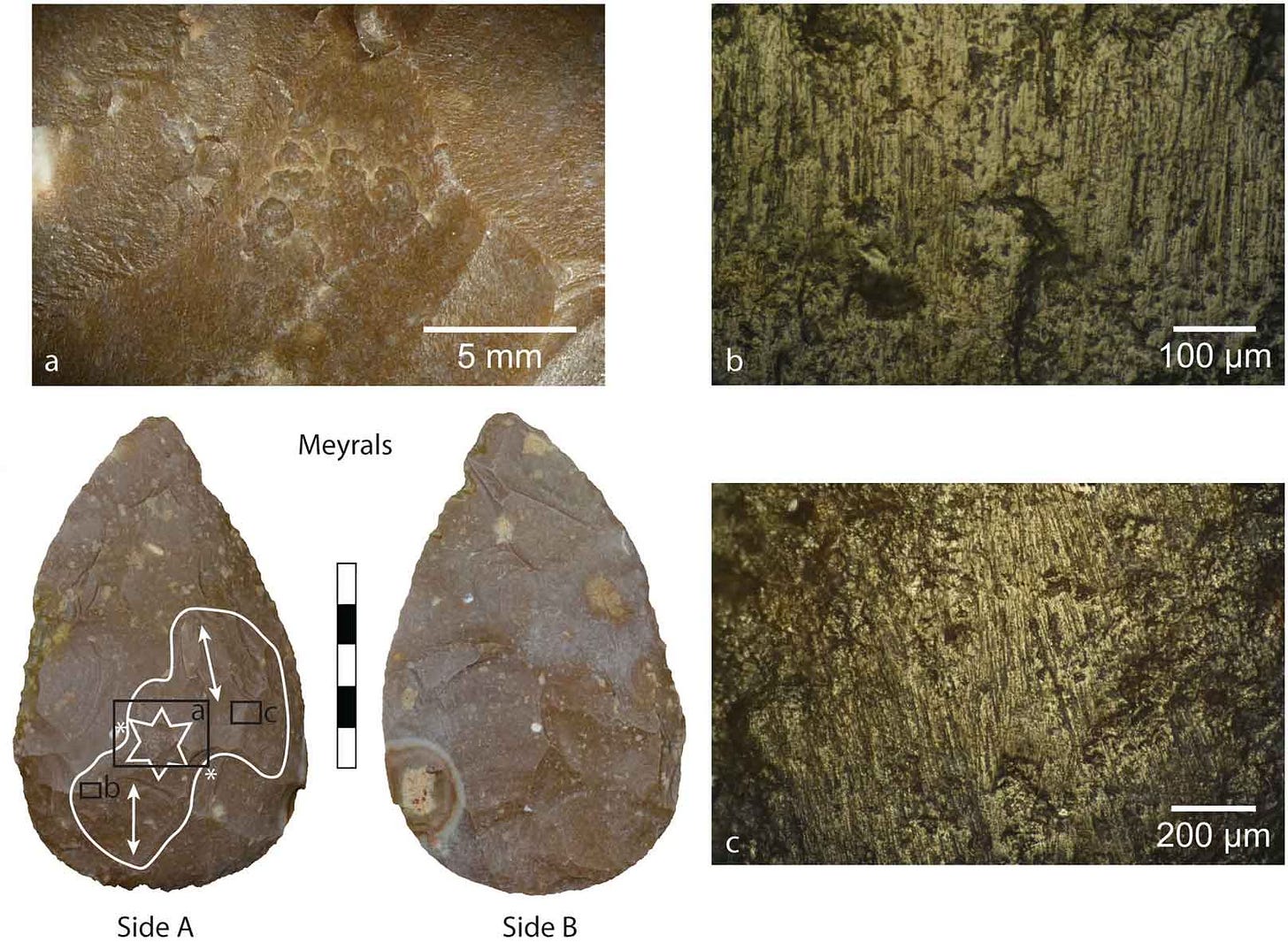 Biface shown with rectangles indicating location of microwear traces shown in inset micrographs Biface shown with rectangles indicating location of microwear traces shown in inset micrographs
