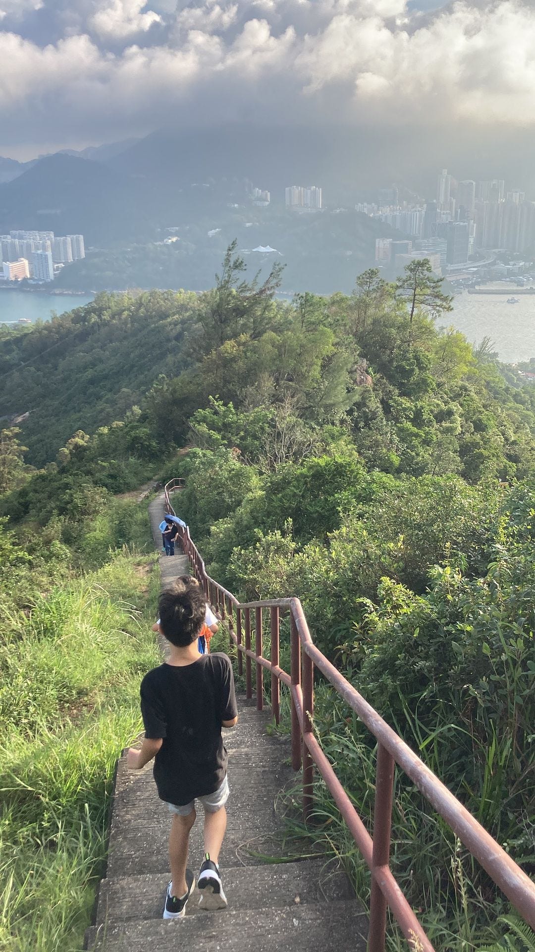 登山道の写真。