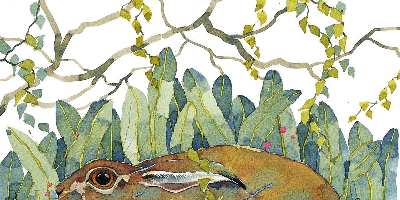 Sign of summer - a new Mary Ann Rogers exhibition