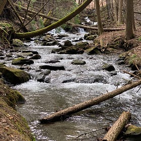 Who Speaks for the Brook?
