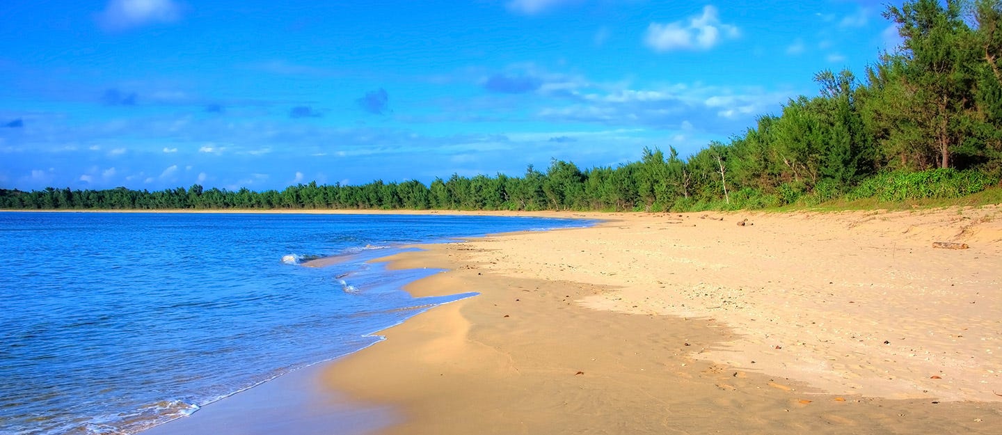 ما هي أهمية محمية جزر أم القماري ومن ماذا تتكون | مدونة بيوت السعودية ما هي أهمية محمية جزر أم القماري ومن ماذا تتكون | مدونة بيوت السعودية