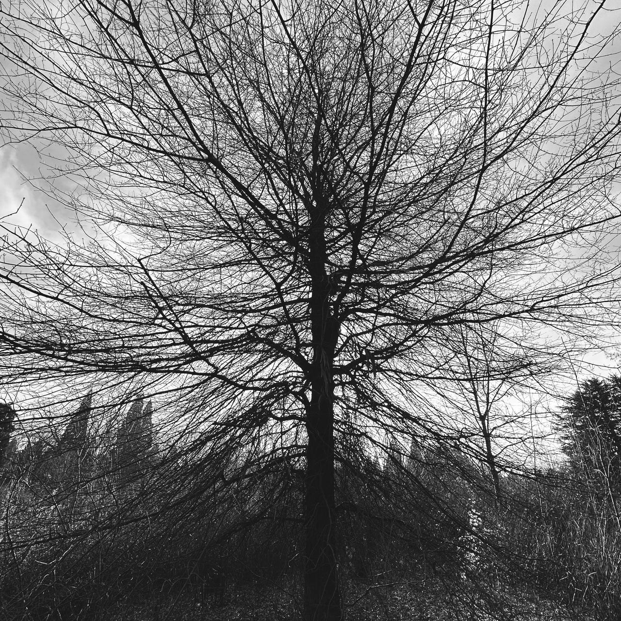 Film, Running, Death