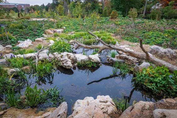 Penn State Pollinator Garden (Didier Design Studio)