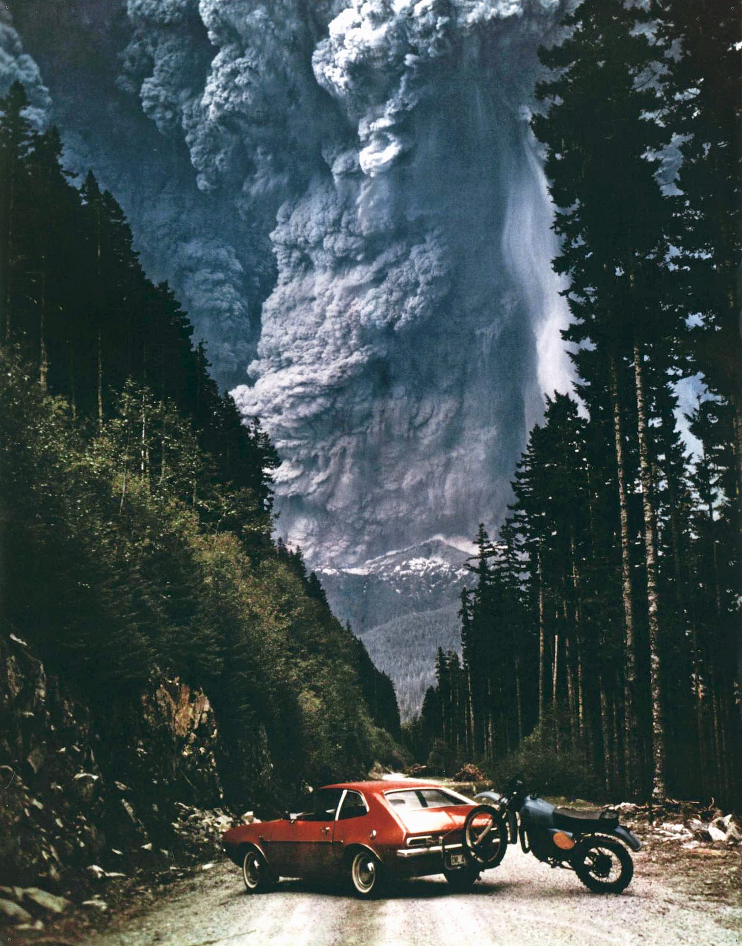 Photograph of a pinto with Mount St. Helens erupting in the background.