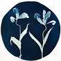 Katharine T. Jacobs's avatar