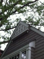 bird house 