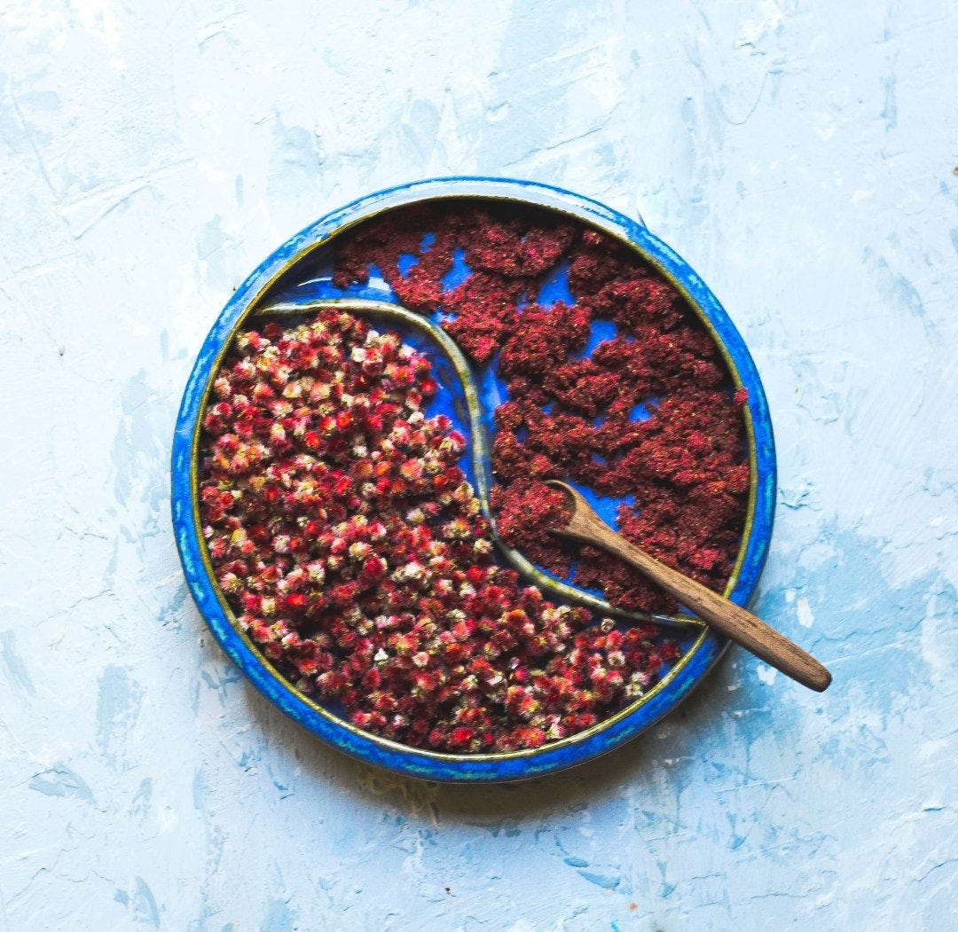 Staghorn Sumac berries and dried ground berries ready to be used in recipes such as The Three Sisters Sizzler Staghorn Sumac berries and dried ground berries ready to be used in recipes such as The Three Sisters Sizzler